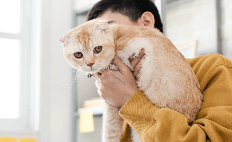 a person holding a cat