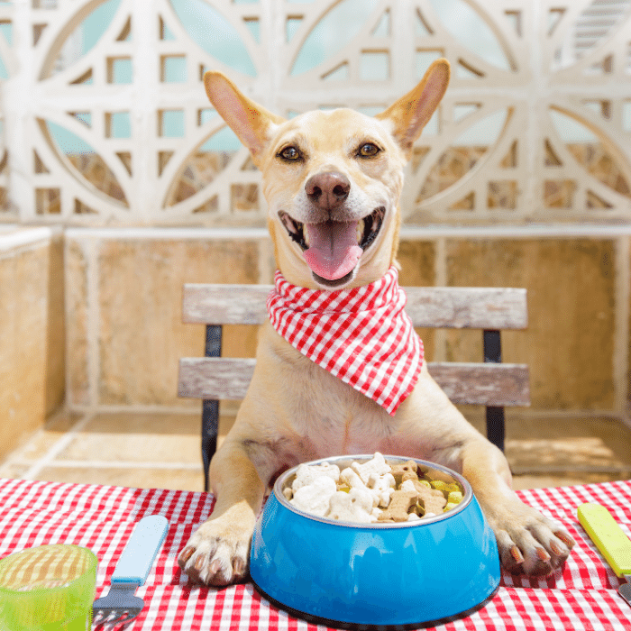 a dog sitting at a table with food in it