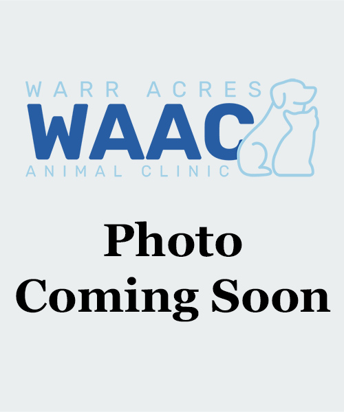 Photo Coming Soon